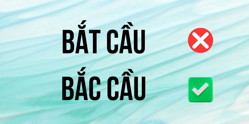Bắc cầu hay bắt cầu: Phân tích từ nguyên và cách viết