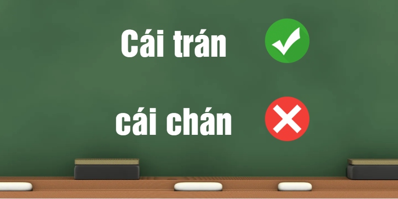 Cái trán hay cái chán: Từ nào đúng chính tả tiếng Việt?