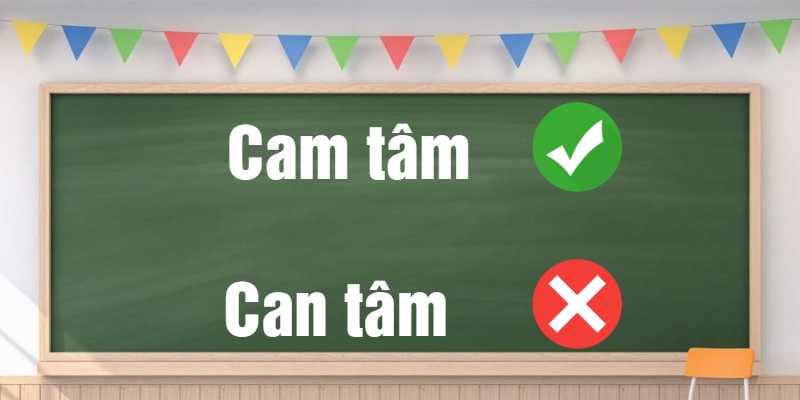 Can tâm hay Cam tâm đúng chính tả? Viết thế nào để chuẩn ý nghĩa cam chịu?