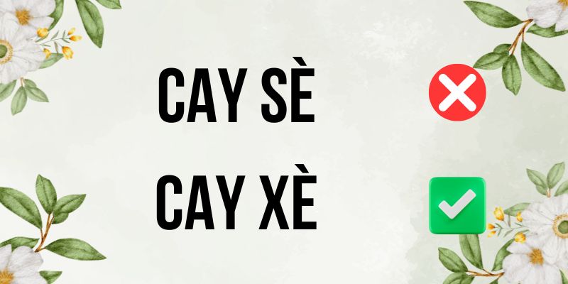 Cay xè hay cay sè: Từ điển chính thống Việt Nam đáp án