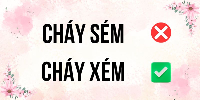 Cháy xém hay Cháy sém: Từ điển chính thống Tiếng Việt có đáp án