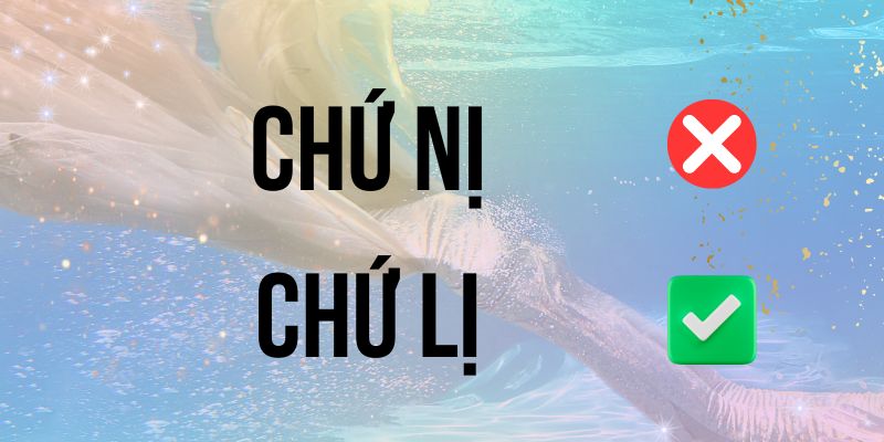 Chứ lị hay chứ nị: Tra cứu từ điển và cách viết chuẩn