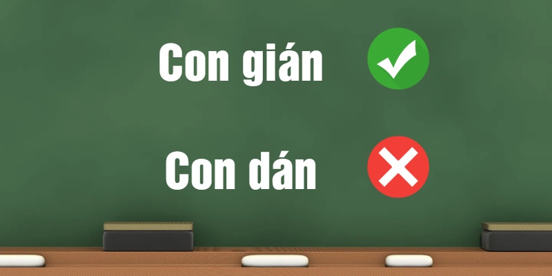 Con gián hay con dán? Từ nào đúng chính tả trong ngôn ngữ Việt