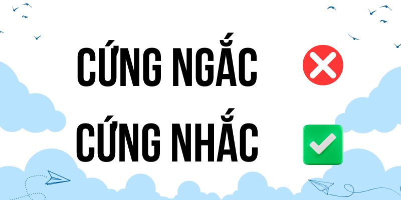 Cứng ngắc hay cứng nhắc: Hướng dẫn chính tả chuẩn mực