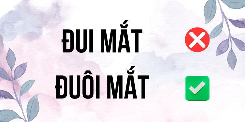 Đui mắt hay Đuôi mắt: Cách viết đúng không sai nữa