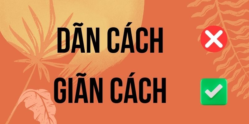 Giãn cách hay dãn cách: Tra cứu từ điển Hoàng Phê mới nhất