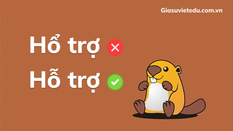 Hổ trợ hay hỗ trợ: đâu là từ đúng chính tả?