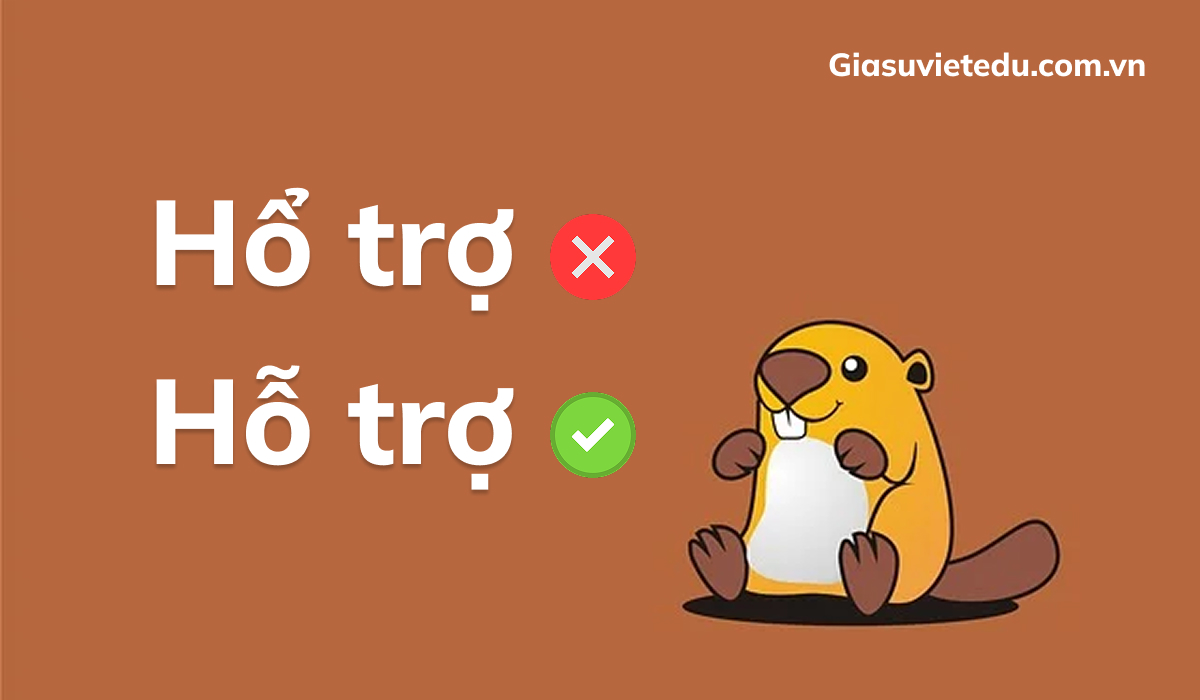 Hổ trợ hay hỗ trợ: đâu là từ đúng chính tả?
