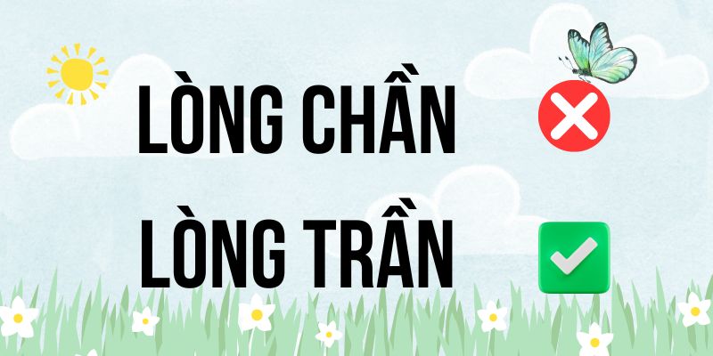 Lòng chần hay Lòng trần? 90% người Việt thường viết sai từ này!