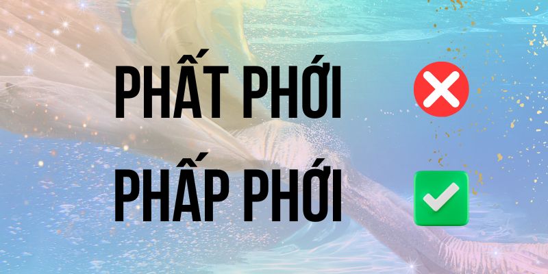 Phấp phới hay phất phới: Chuẩn chính tả theo quy tắc ngôn ngữ