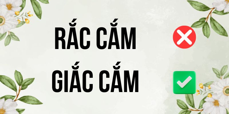 Rắc cắm hay giắc cắm: Tại sao nhiều người nhầm lẫn thế