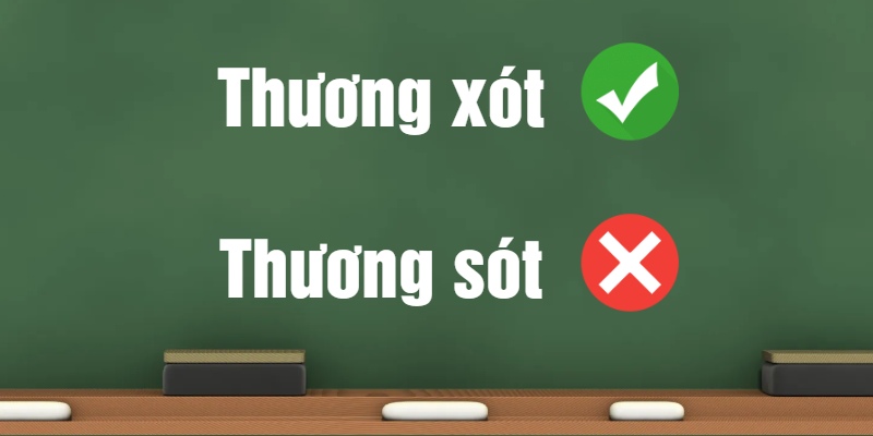 Thương xót hay thương sót: Đâu là cách viết đúng chính tả?