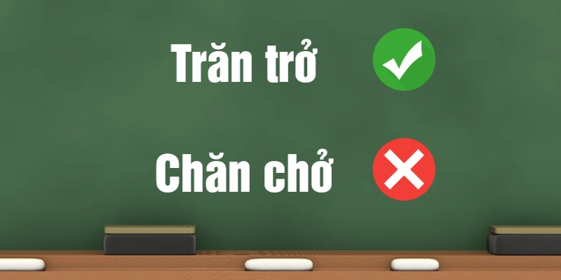 Trăn Trở Hay Chăn Chở: Lời Giải Đáp Cho Từ Đúng Chính Tả
