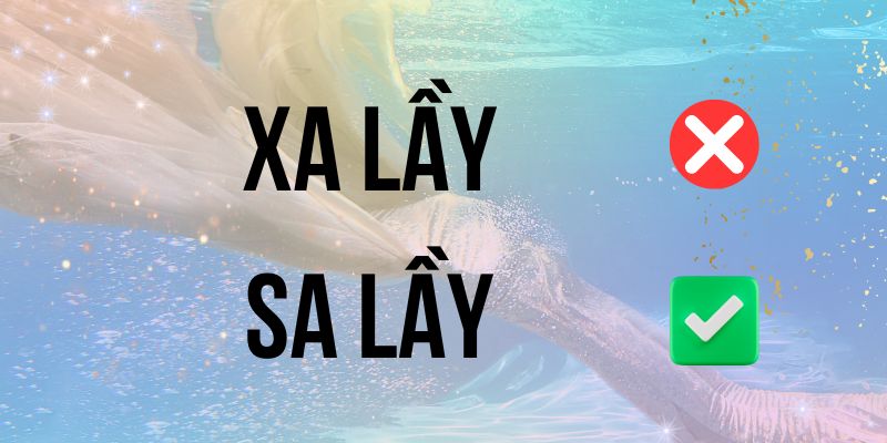 Xa lầy hay sa lầy: So sánh nghĩa và cách dùng trong văn viết