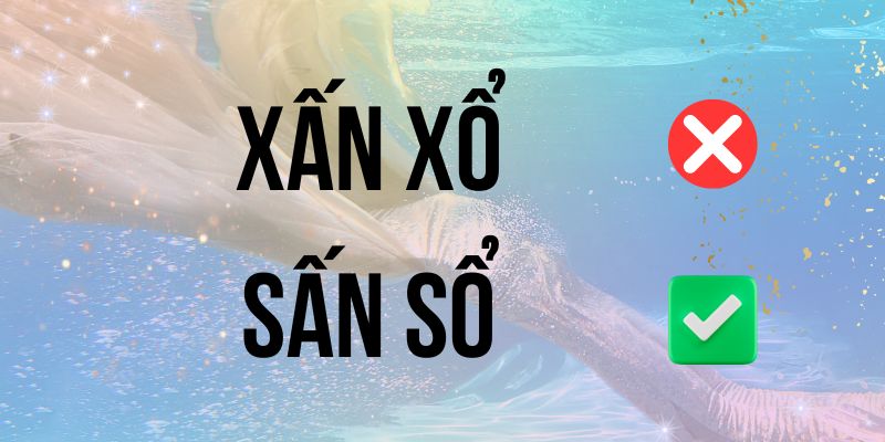Xấn xổ hay sấn sổ: Giải đáp chính tả từ chuyên gia ngôn ngữ