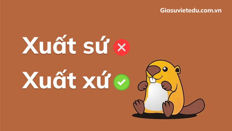 Xuất xứ hay xuất sứ: đâu là cách viết đúng chính tả?