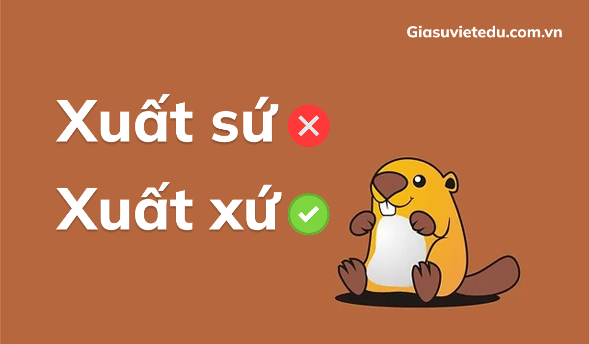 Xuất xứ hay xuất sứ: đâu là cách viết đúng chính tả?