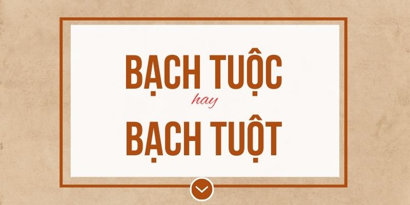 Bạch tuộc hay bạch tuột đúng chính tả? Ý nghĩa và mẹo ghi nhớ
