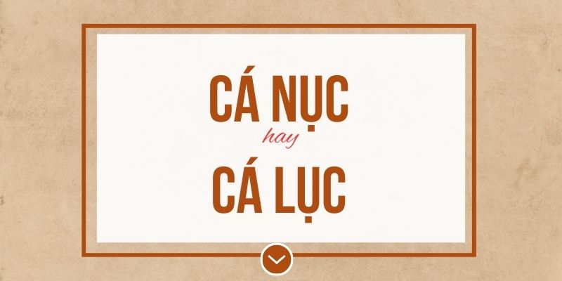 Cá nục hay cá lục đúng chính tả? Ý nghĩa và mẹo ghi nhớ