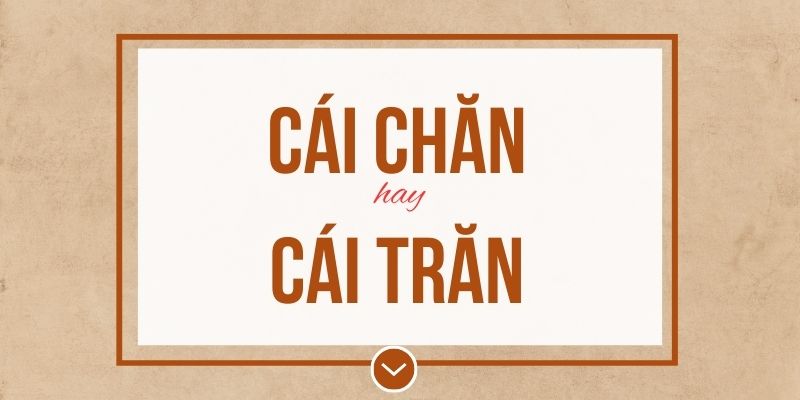 Cái chăn hay cái trăn đúng chính tả? Ý nghĩa và mẹo ghi nhớ