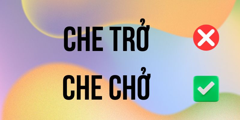 Che Chở hay Che Trở đúng chính tả? Ý nghĩa là gì?