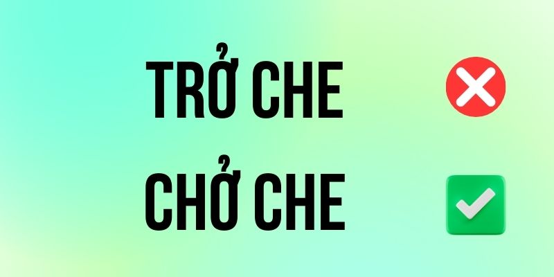Chở Che hay Trở Che đúng chính tả? Ý nghĩa là gì?