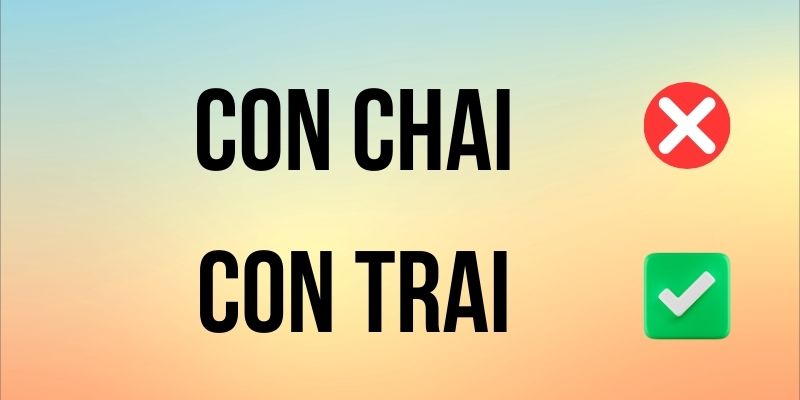 Con Chai hay Con Trai đúng chính tả? Ý nghĩa là gì?