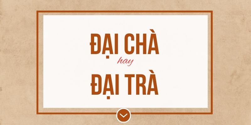 Đại chà hay đại trà đúng chính tả? Ý nghĩa và mẹo ghi nhớ