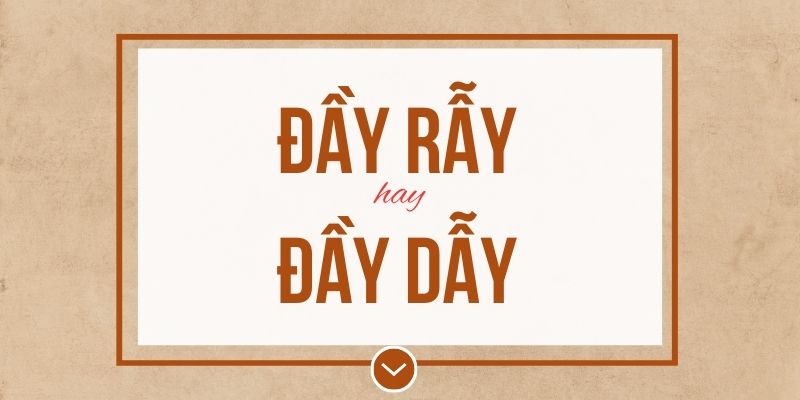 Đầy rẫy hay đầy dẫy đúng chính tả? Ý nghĩa và mẹo ghi nhớ