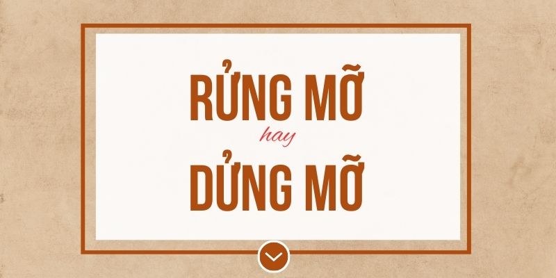 Rửng mỡ hay dửng mỡ đúng chính tả? Ý nghĩa và mẹo ghi nhớ