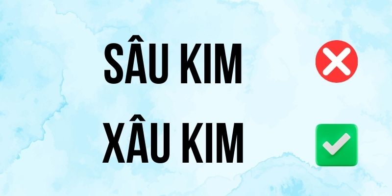 Sâu Kim hay Xâu Kim đúng chính tả? Ý nghĩa là gì?