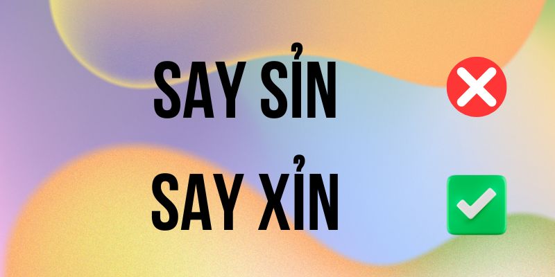 Say Sỉn hay Say Xỉn đúng chính tả? Ý nghĩa là gì?
