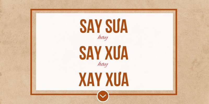 Say sưa hay say xưa hay xay xưa đúng chính tả? Ý nghĩa và mẹo ghi nhớ
