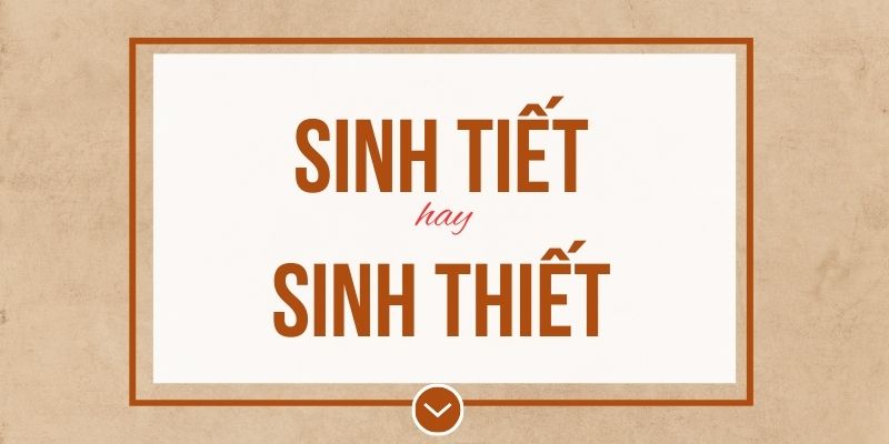 Sinh tiết hay sinh thiết đúng chính tả? Ý nghĩa và mẹo ghi nhớ