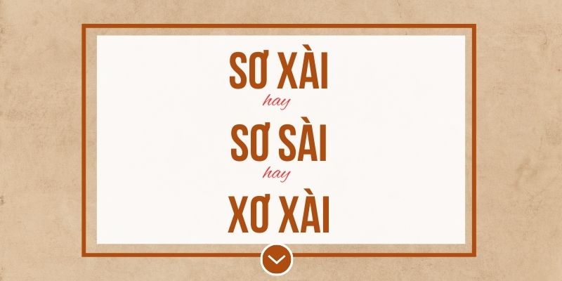 Xài hay Sài? Sơ xài hay sơ sài hay xơ xài đúng chính tả? Ý nghĩa và mẹo ghi nhớ