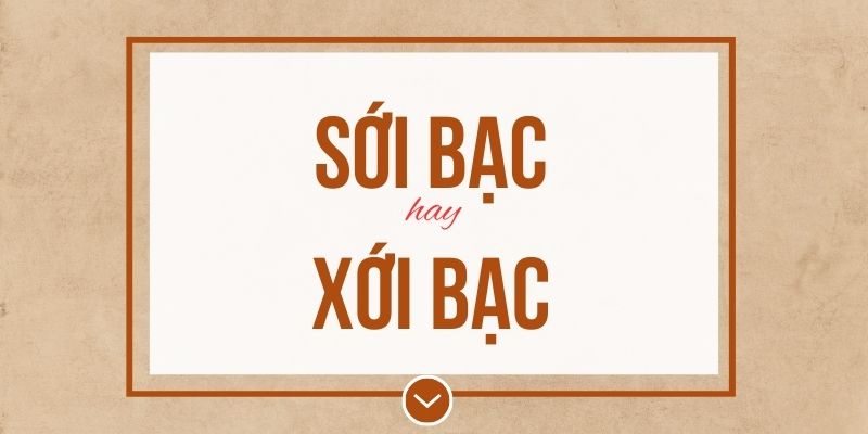 Sới bạc hay xới bạc đúng chính tả? Ý nghĩa và mẹo ghi nhớ