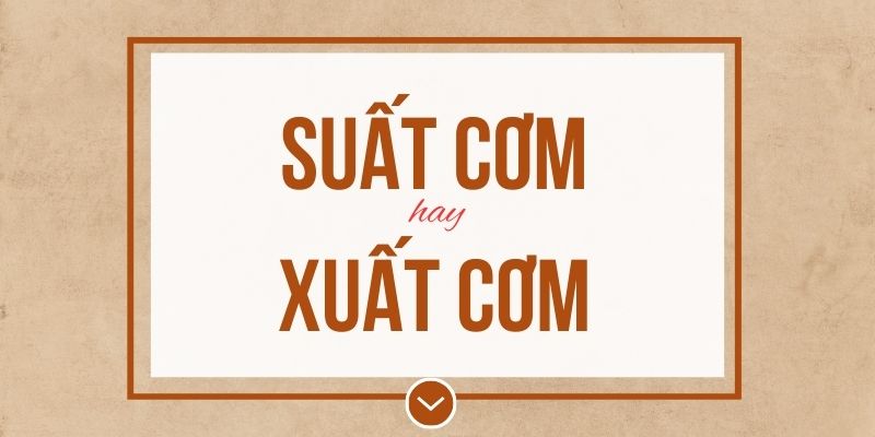 Suất cơm hay xuất cơm đúng chính tả? Ý nghĩa và mẹo ghi nhớ