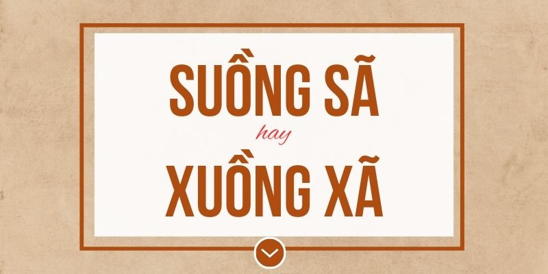Suồng sã hay xuồng xã đúng chính tả? Ý nghĩa và mẹo ghi nhớ