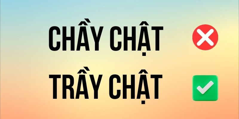 Trầy Trật hay Chầy Chật đúng chính tả? Ý nghĩa là gì?