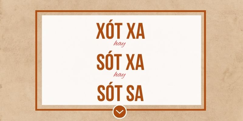 Xót xa hay sót xa hay sót sa đúng chính tả? Ý nghĩa và mẹo ghi nhớ