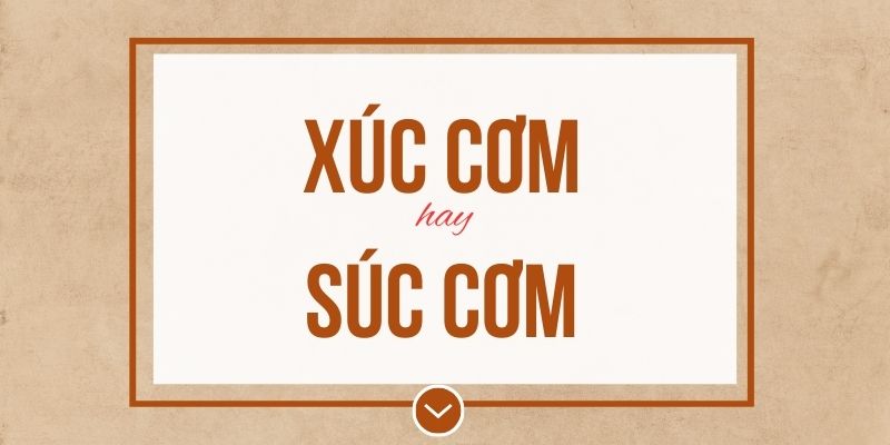 Xúc cơm hay súc cơm đúng chính tả? Ý nghĩa và mẹo ghi nhớ