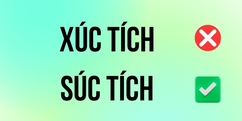 Xúc Tích hay Súc Tích đúng chính tả? Ý nghĩa là gì?