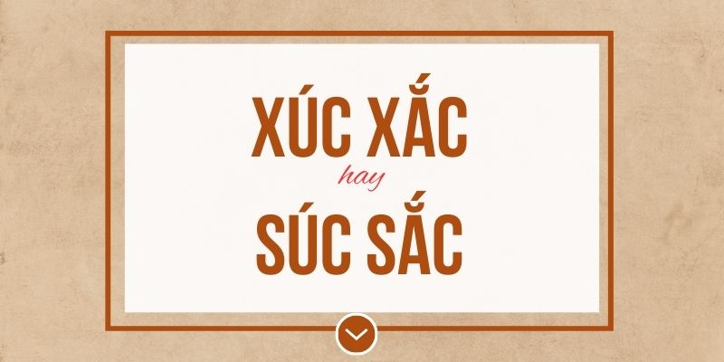 Xúc xắc hay súc sắc đúng chính tả? Ý nghĩa và mẹo ghi nhớ