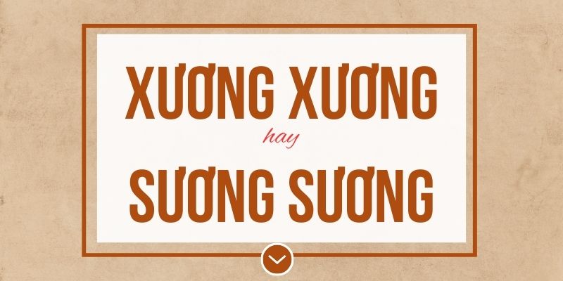 Xương xương hay sương sương đúng chính tả? Ý nghĩa và mẹo ghi nhớ