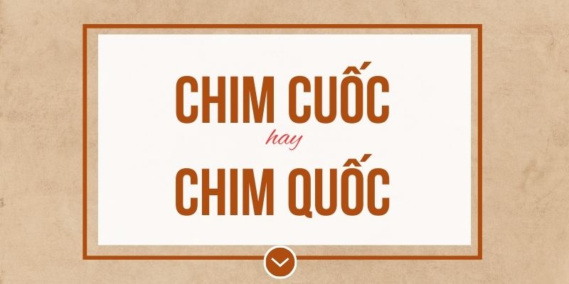 Chim cuốc hay chim quốc đúng chính tả? Ý nghĩa và mẹo ghi nhớ