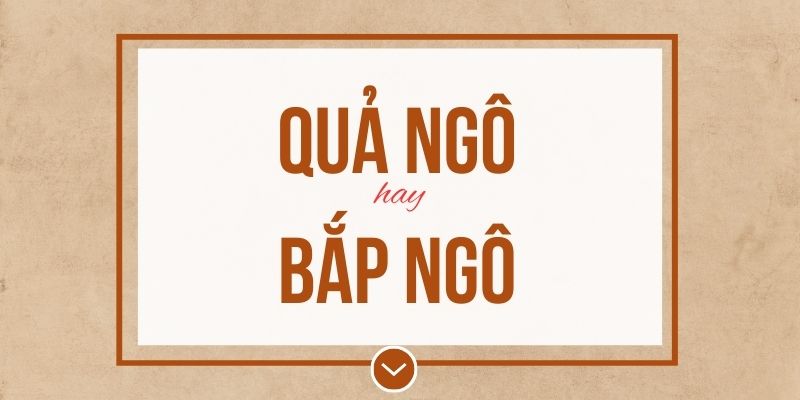 Quả ngô hay bắp ngô đúng chính tả? Ý nghĩa và mẹo ghi nhớ