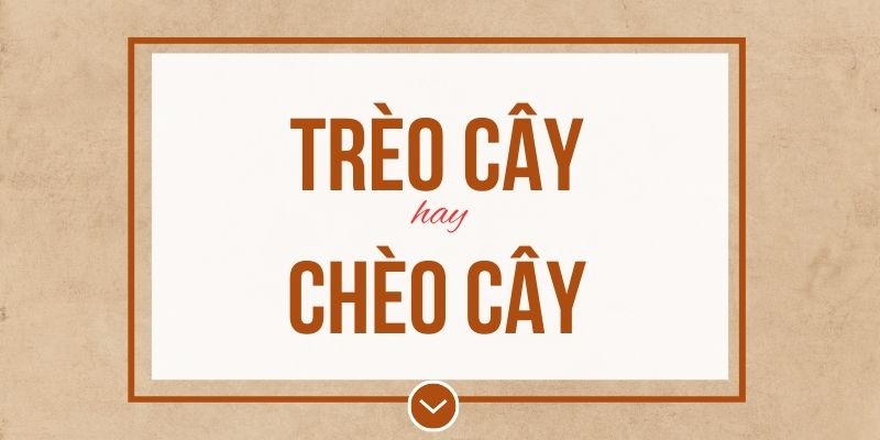 Trèo cây hay chèo cây đúng chính tả? Ý nghĩa và mẹo ghi nhớ