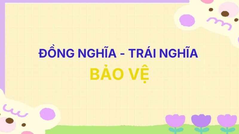 Từ đồng nghĩa và trái nghĩa với từ Bảo Vệ