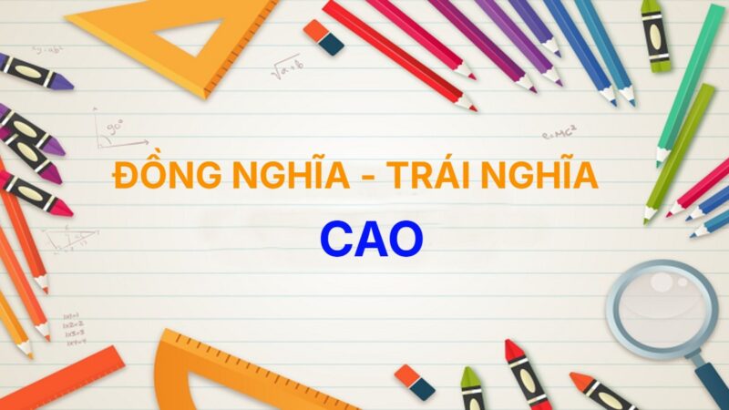 Từ đồng nghĩa và trái nghĩa với từ Cao