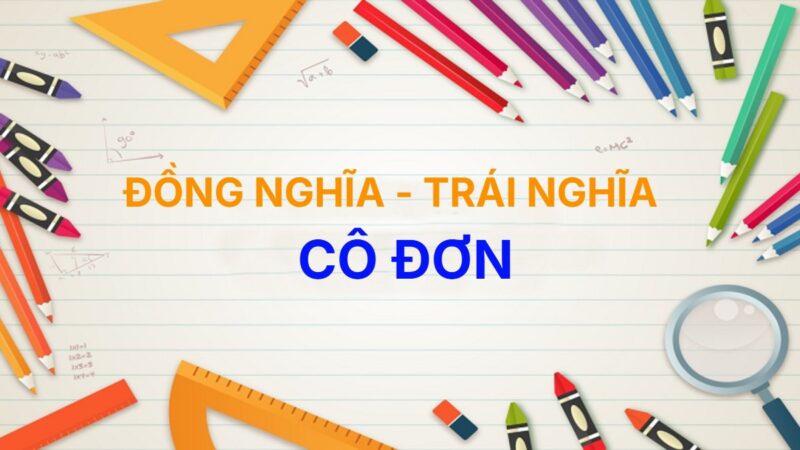 Từ đồng nghĩa và trái nghĩa với từ Cô Đơn